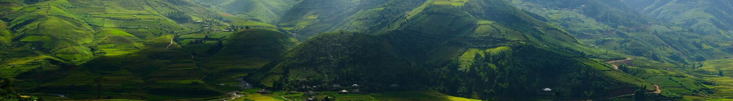 Ảnh bìa nhà tuyển dung